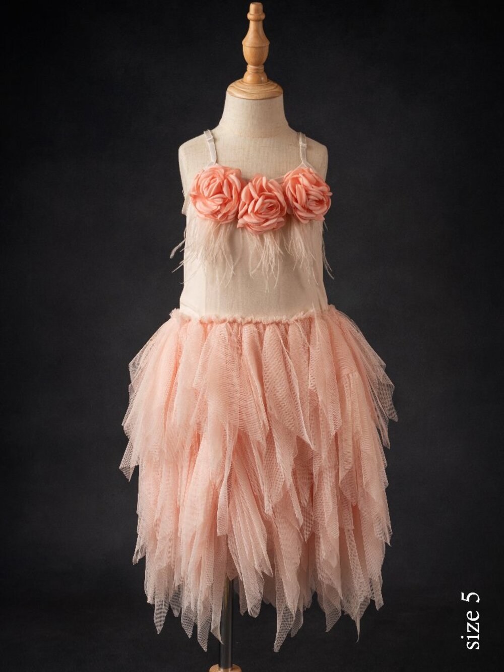 Peach dress with rosette accents and feathers, size 5